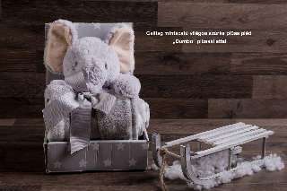 NATURTEX DUMBÓ 30 CM + PLÜSS PLÉD 100X75 CM - 430504004