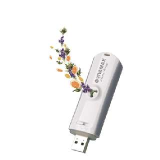 VIVAMAX ILLÓOLAJ PÁROLOGTATÓ USB CSATLAKOZÓVAL  - 520311000