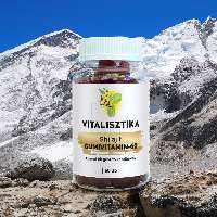 SHILAJIT GUMIVITAMIN - 60 DARABOS - 050221002